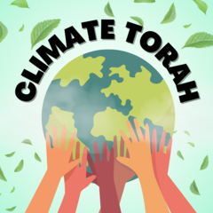 Banner Image for Climate Torah: An Adult Learning Series 